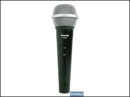 Quel est son chanteur prfr ?