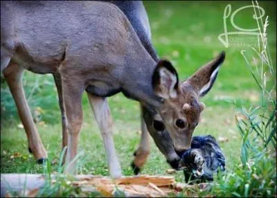 L'amiti, comme l'amour, demande beaucoup d'efforts, d'attention, de constance, elle exige surtout de savoir offrir ce que l'on a de plus cher dans la vie : du temps !