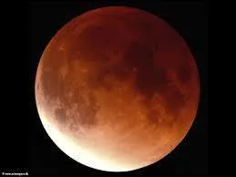 Qu'arrive-t-il aux loups-garous lors d'une clipse lunaire ? 