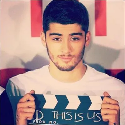 Quelle est l'origine de Zayn Malik ?