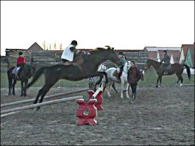 Quand on est en retard dans le saut d'obstacle, on dit que l'on fait :