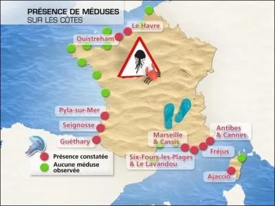 Papousie. Compltez : La mduse de la plage de Saint-Malo / Fait du vlo sur la plage  Saint-Malo / Les coquillages et les crustacs / En ont assez de se faire craser / Sous les rayons d´un vlo majuscule /...