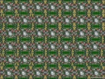 Qu'est-ce qui se cache dans cette image ?