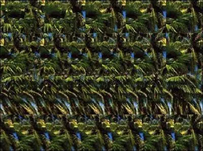 Qu'est-ce qui se cache dans cette image ?