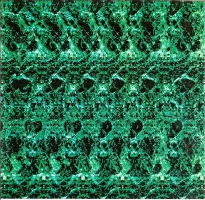 Qu'est-ce qui se cache dans cette image ?