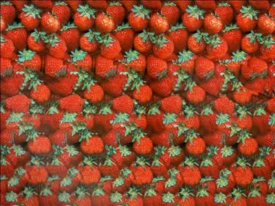 Qu'est-ce qui se cache dans cette image ?