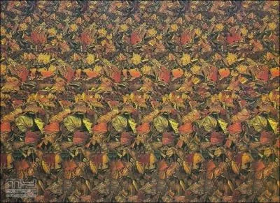 Qu'est-ce qui se cache dans cette image ?