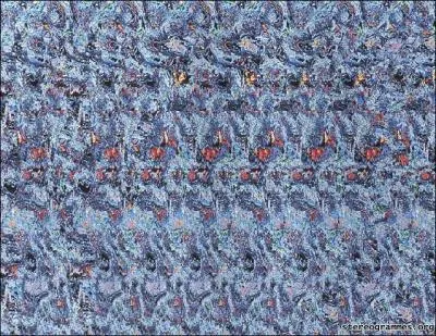 Qu'est-ce qui se cache dans cette image ?