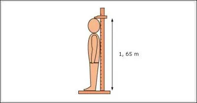 Combien mesure-t-il ?
