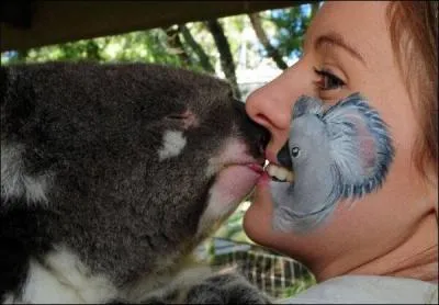 Facile  identifier, c'est le diable de Tasmanie !