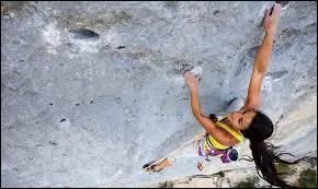 Sur quel genre de support l'luant grimpe-t-il ?