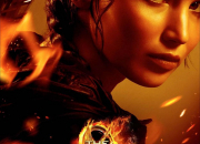 Quiz Hunger Games : vrai ou faux ?