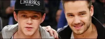 Quel est le vrai prnom de Niall et Liam ?