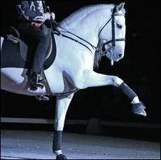 Quelle est cette figure de dressage ?