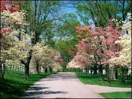 Le printemps sur le calendrier commence le jour de l'équinoxe et se termine le jour .....