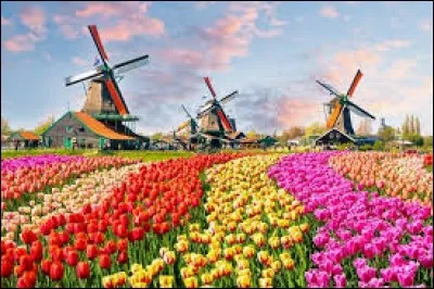 Le printemps est souvent appelé la "saison des amours", pourquoi ?