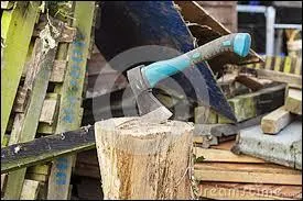 Faut dire que -------------* : -( Oh ! La belle bche !