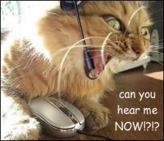 On est pas d'accord avec lui, alors smiley est : -C