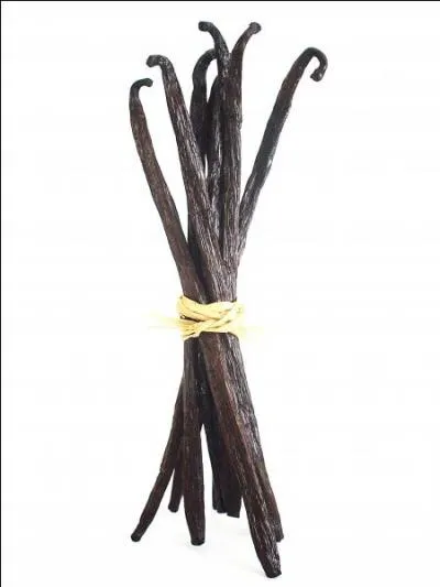  quelle famille de plantes appartient la vanille, qui est utilise pour son odeur bienfaisante et stimulante ?