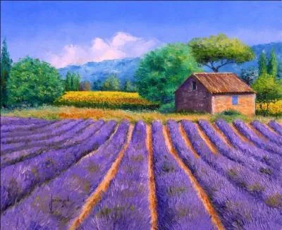 On en fait de petits coussins que l'on glisse dans le linge pour le parfumer. Il s'agit :