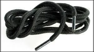 Le mot commence par : Jan ...