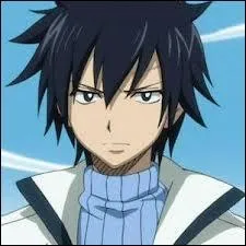 De quel manga Grey vient-il ?