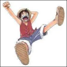 De quel manga Luffy vient-il ?