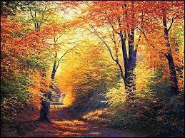 A l'automne, les feuilles nous offrent un magnifique tableau en nuances rouges et jaunes, mais à qui doit-on le recueil de poèmes  Les Feuilles d'automne  ?