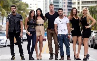 Quelle est la candidate qui n'est pas aime des autres candidats ?