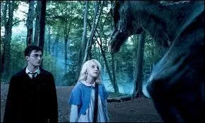 Quel membre de sa famille a t-elle perdu durant son enfance ?