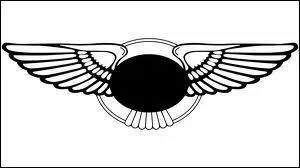 Quelle est cette marque ?