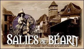 Salies-de-Barn est une commune du 64. Elle se trouve donc en rgion . .