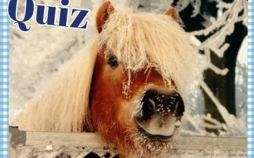 Quiz Galop 1