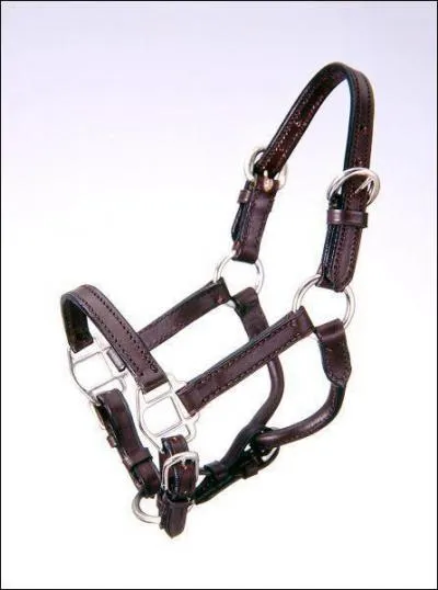 Comment cet quipement s'appelle-t-il ?