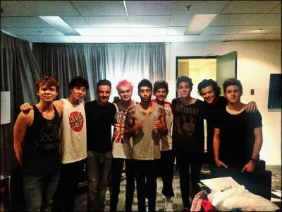Les One Direction ont fait une tourne :