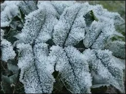 Sous quel tat est reprsent le givre ?