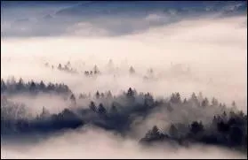 Sous quel tat est reprsent le brouillard ?