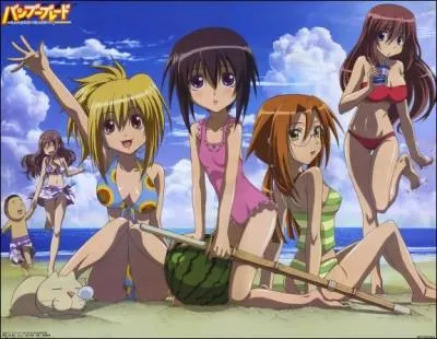 'Bamboo Blade' est un...