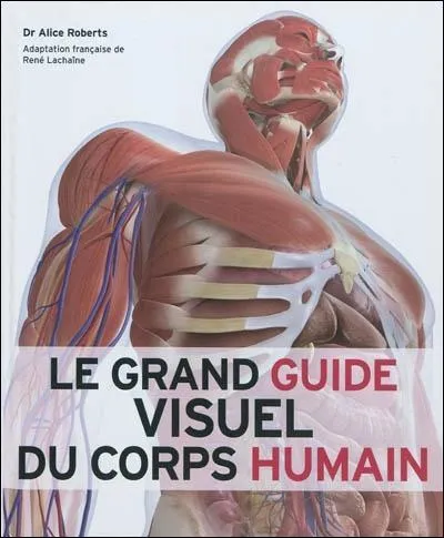 Comment s'appelle l'tude des tendons du corps humain ?