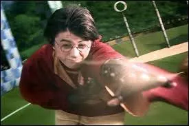 Revenons un peu au Quidditch ! Tout le monde connat forcment les trois balles utilises