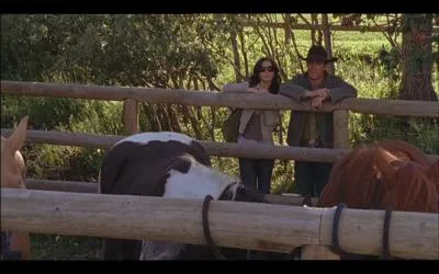 Quel type de chevaux Lou et Tim ont-ils dcid d'acheter pour le centre de randonne questre ?