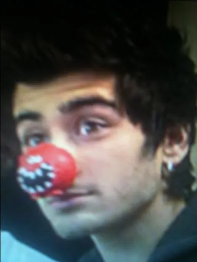 Quelle est la date de naissance de Zayn Malik ?