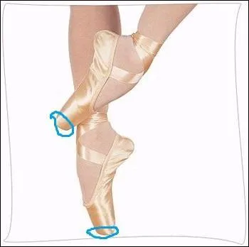 Comment s'appelle la partie de la pointe entoure en bleu ?