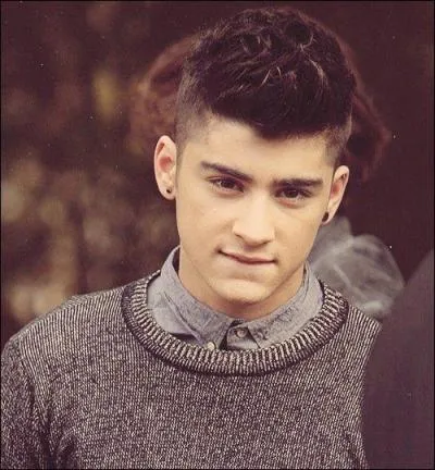 Quelle est la particularit de Zayn ?