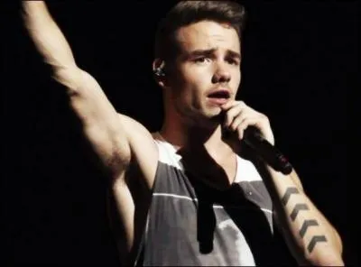 Quel est le super-hros prfr de Liam ?