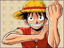 Quel ge a-t-il dans la premire partie de One Piece ?