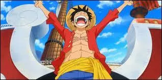 Quel ge a-t-il dans la deuxime partie de One Piece ?
