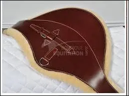 Comment s'appelle cette sangle utilise en saut ?