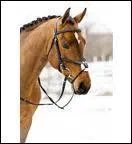 Comment s'appelle ce genre de bride ?