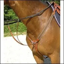 Comment s'appelle ces rnes attaches au collier de chasse ?